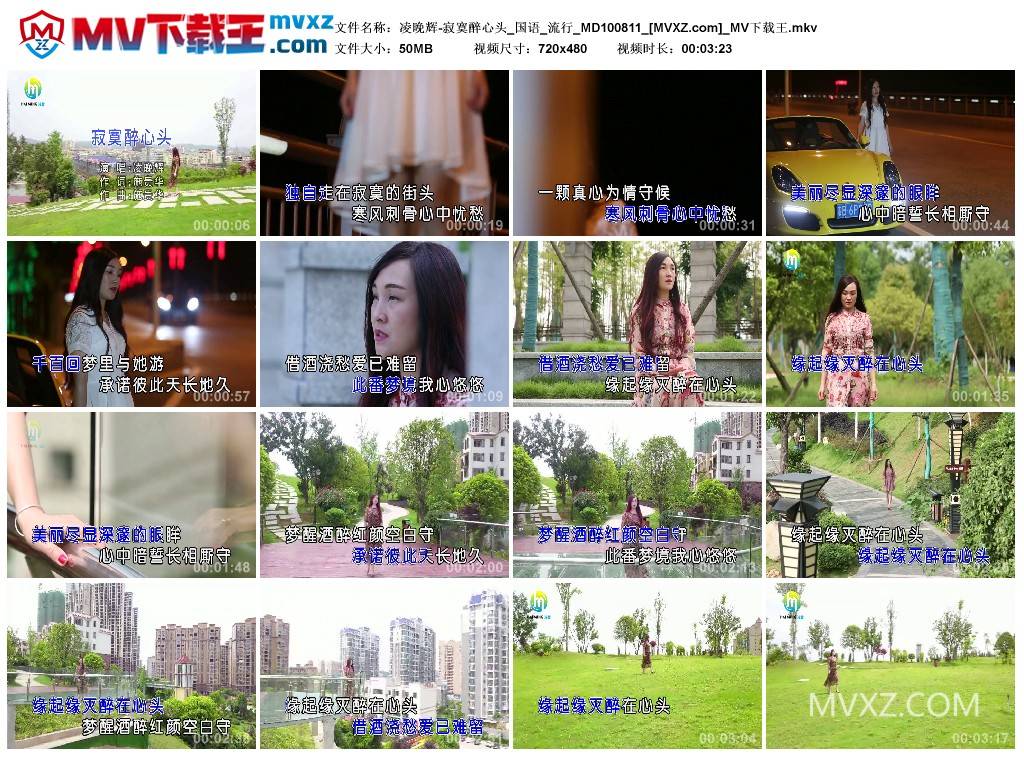 凌晚辉-寂寞醉心头_国语_流行_MD100811